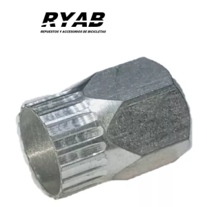 Extractor de piñones Regina - Zeus - Fr-4 - 20 estrías