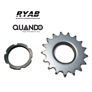 Piñón fijo de 17 dientes - Fixie