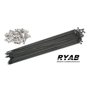 Rayos negros acero inoxidable 295mm con niples - 36 unidades